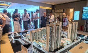 北京楼市新政落地首个周末:二手房成交忙,有新盘看房需排队