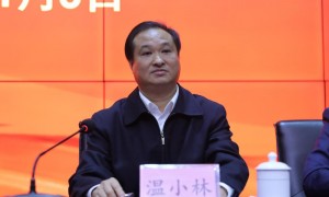中央巡视期间,温小林落马