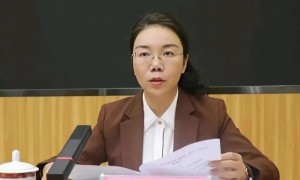 王洁红,主动投案