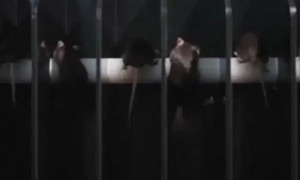 美企急交B计划,转头一看:中国航天工程又有突破