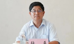 云南通报:正厅级陆平主动投案