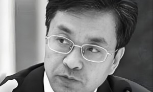 “中国民间对日索赔第一人”童增同志逝世