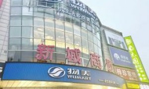 物美“胖改”狂奔:7个月冲刺30店,张文中后劲如何?